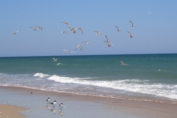 Photo: rjones0856 - CC by 2.0 via Flickr