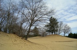 Desert_of_Maine_-_Freeport,_ME_By Daderot (Own work) [Public domain], via Wikimedia Commons - 1024 x 768