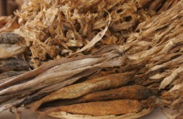Dried Fish, Worli Koliwada. Photo: Vaydehi K.