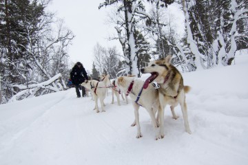 Photo: Fredrik Broman/imagebank.sweden.se