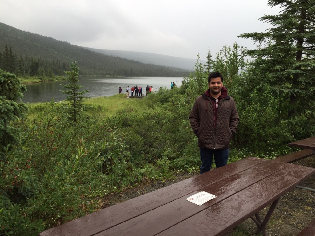 At Denali National Park