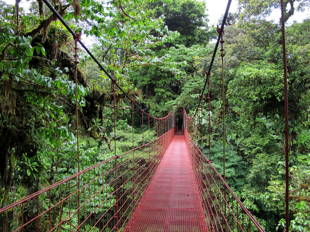 Monteverde. Photo: Haakon S. Krohn/ CC BY-SA 3.0 via Wikimedia Commons 