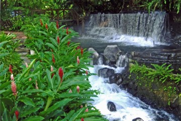 Soak in the hot springs for a romantic break in Costa Rica. Photo: Central Intelligence Agency -The World Factbook via Wikimedia Commons