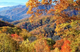 Smoky Mountains-Close-Upendra Kanda-CC 2.0 via Flickr0- 1024 x 681
