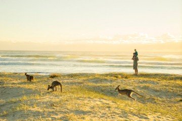 Australia-Camping-PotatoPointEurobodalla-02022015-DeeKramer-317 - smaller - 1024 x 683