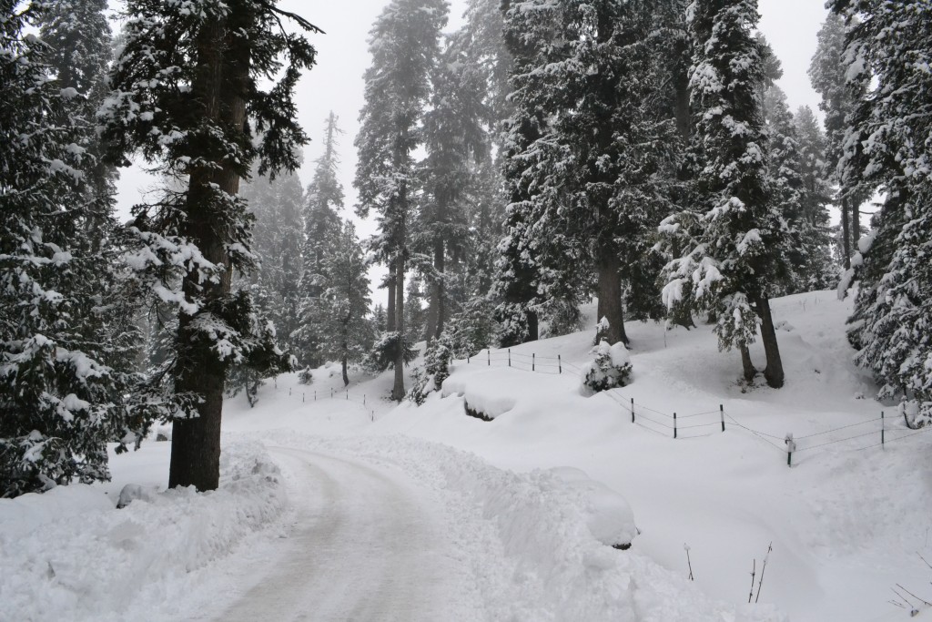 India: Gulmarg