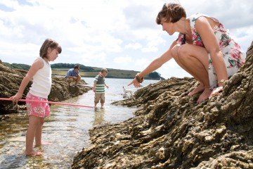 Rock Pooling in Cornwall Plan Your Summer Staycation