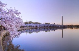 Tidal Basin at Washington DC - Photo by Abhijeet Karle via Flickr