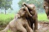 Photo Rickshaw Travel