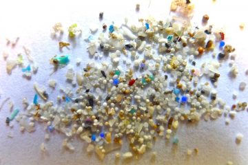 Microplastics- Image by 5Gyres, courtesy of Oregon State University Flcikr
