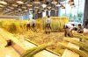 Tokyo Urban Farm Pasona11 - 1024 x 767