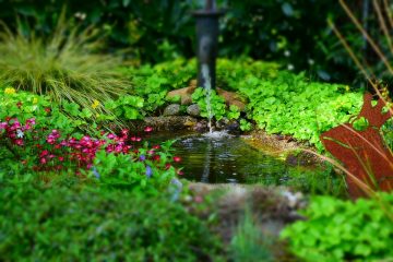 eco how garden pond