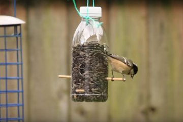 ecosapien bird feeder