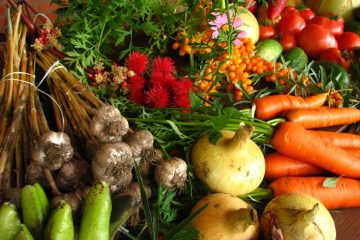 Ecologically_grown_vegetables-By Elina Mark-CC BY-SA 3.0 via Wikimedia Commons - 1024 x 768