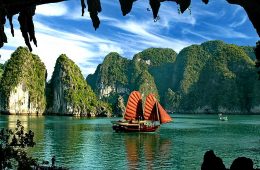 bai-tu-long-bay-cruise-large