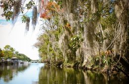 florida