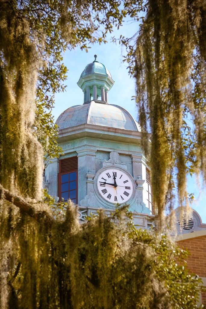 The Clock Tower at the Inverness Courthouse peeks through spanish moss