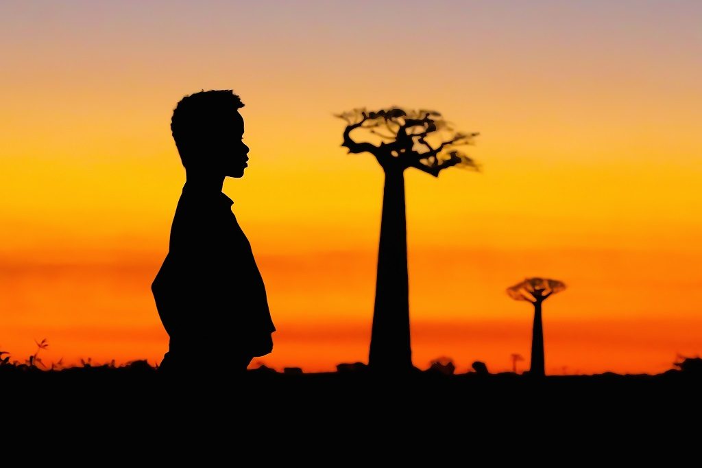 The Malagasy baobabs - a unique biological and cultural heritage