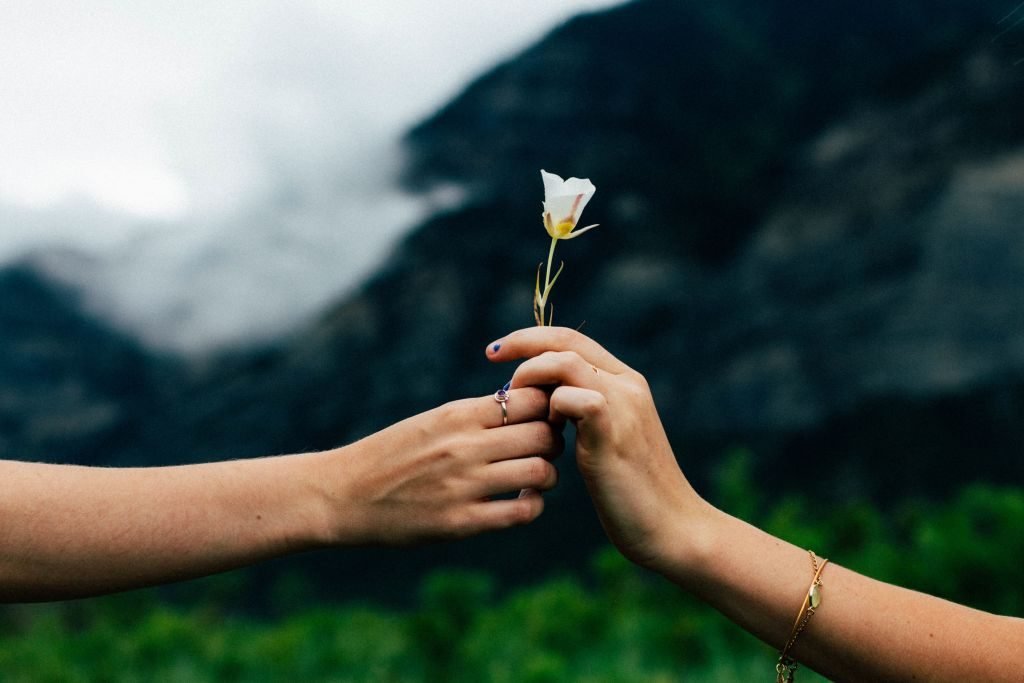 give back this holiday season Evan Kirby via unsplash - 1024 x 683