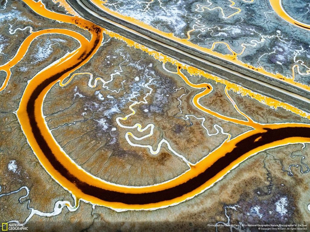 National Geographic Nature Photographer of the Year fb hq - 1024 x 768