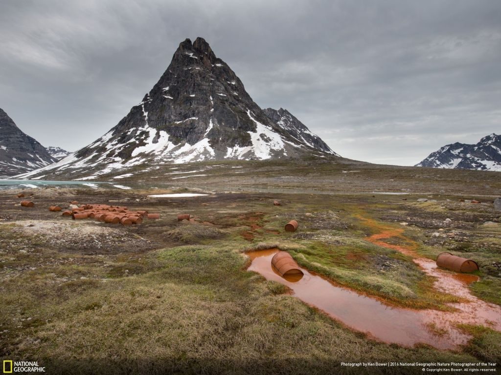 National Geographic Nature Photographer of the Year greenland - 1024 x 768