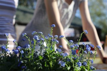 Gardener and Flowers