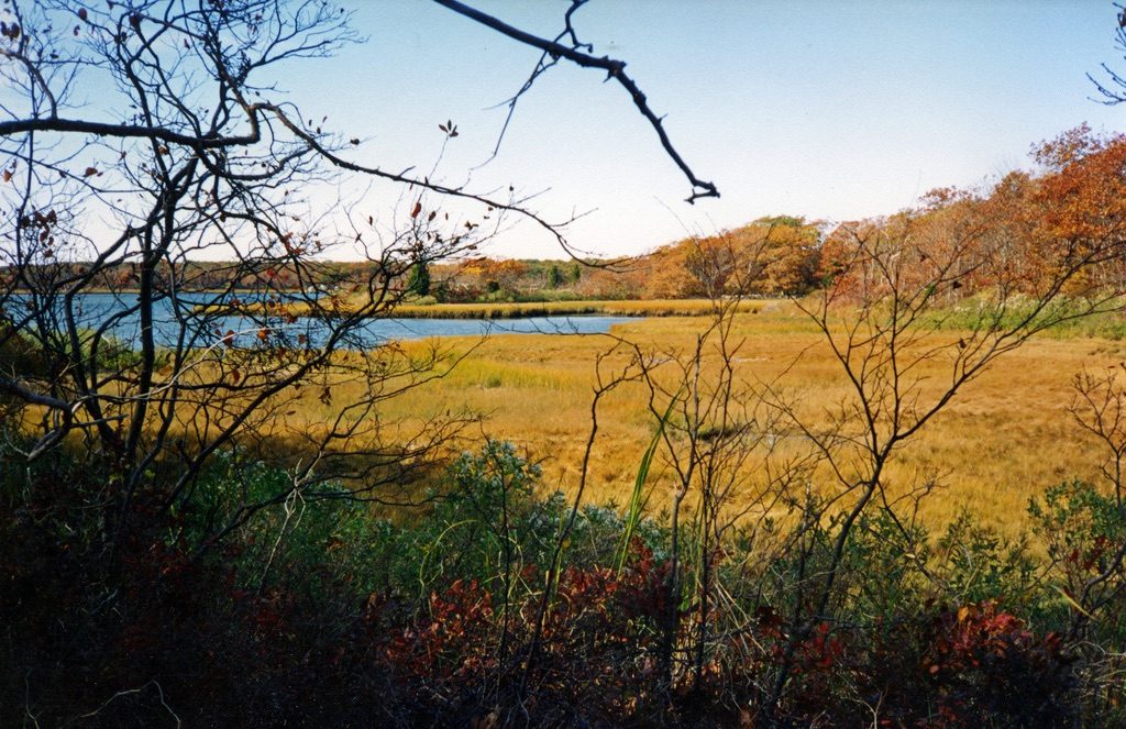 Westport, MA