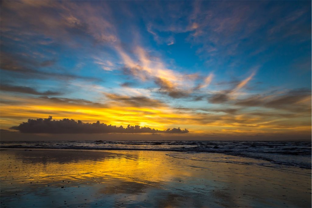 Amelia Island