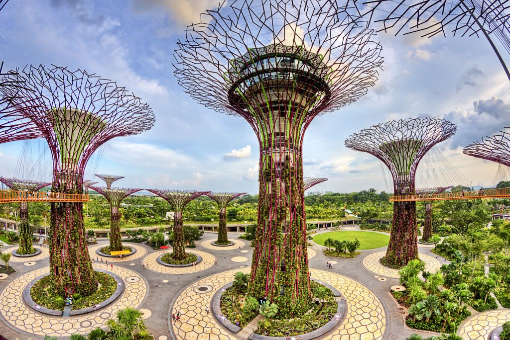 Close Encounters with Singapore's Giant Supertrees