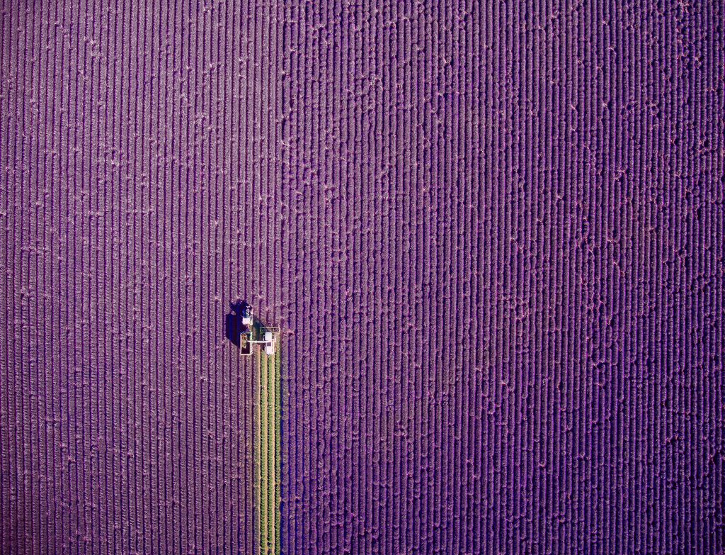 Valensole
