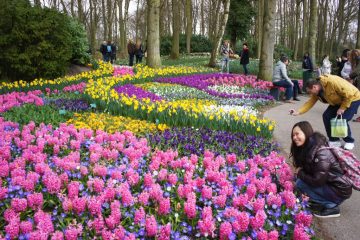 Keukenhof Gardens, Netherlands best gardens in europe