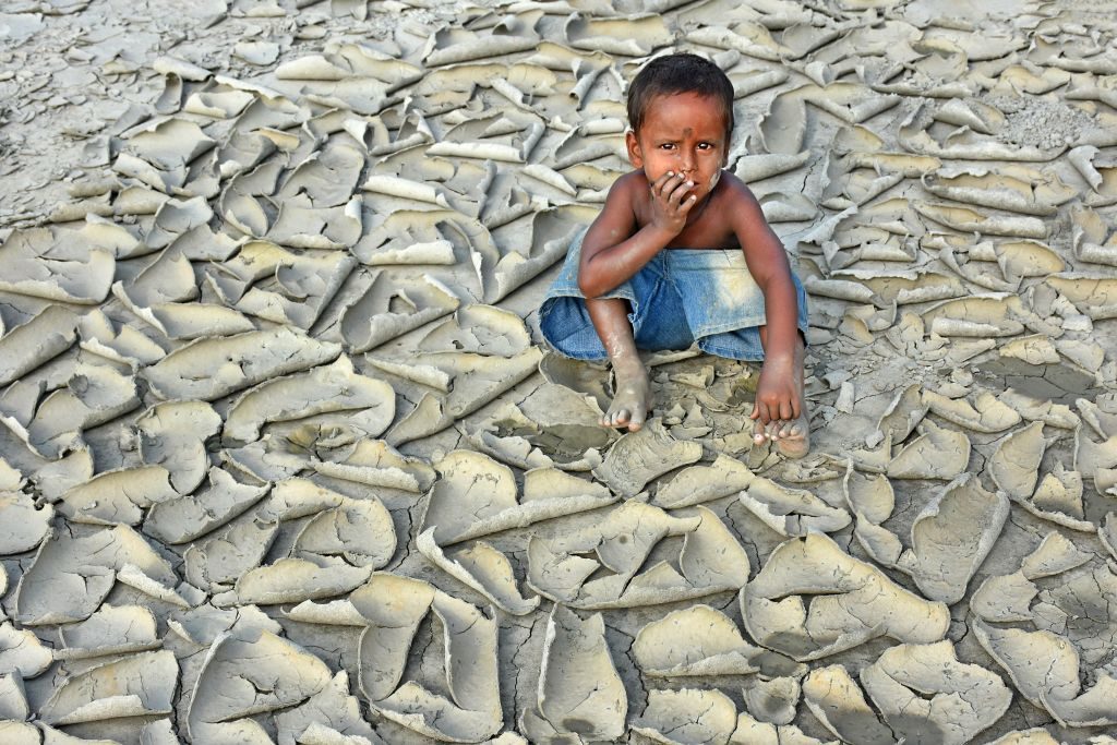 Environmental Photographer of the Year 