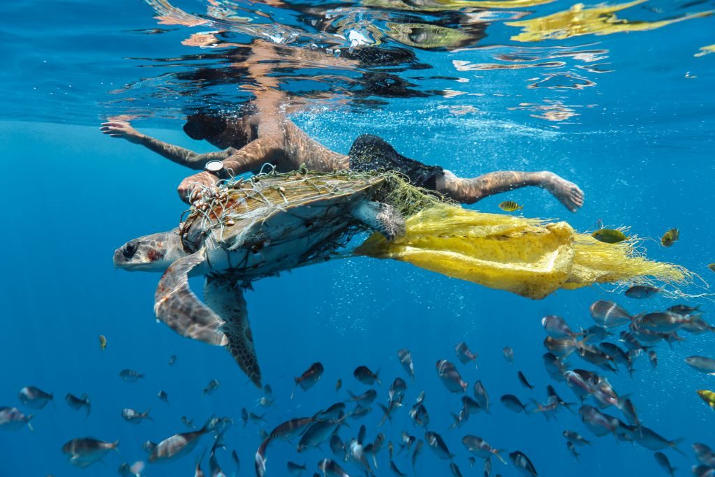 Environmental Photographer of the Year 