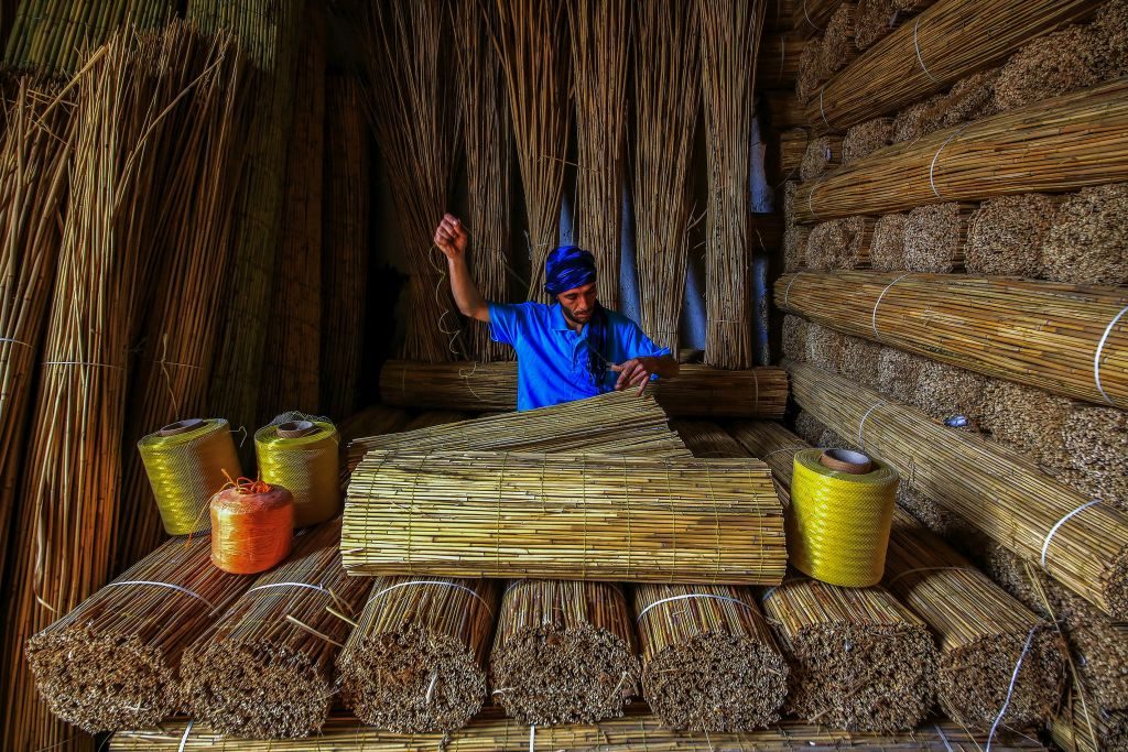 Environmental Photographer of the Year 