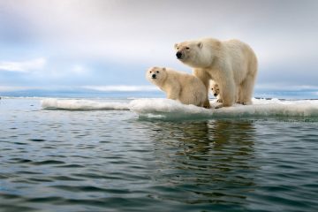 Travel photographer of the year 2018