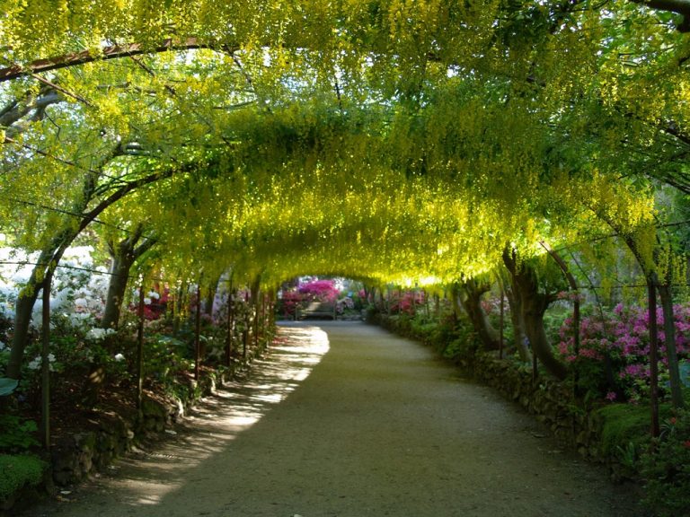 9 Most Beautiful Gardens in Europe You Must See