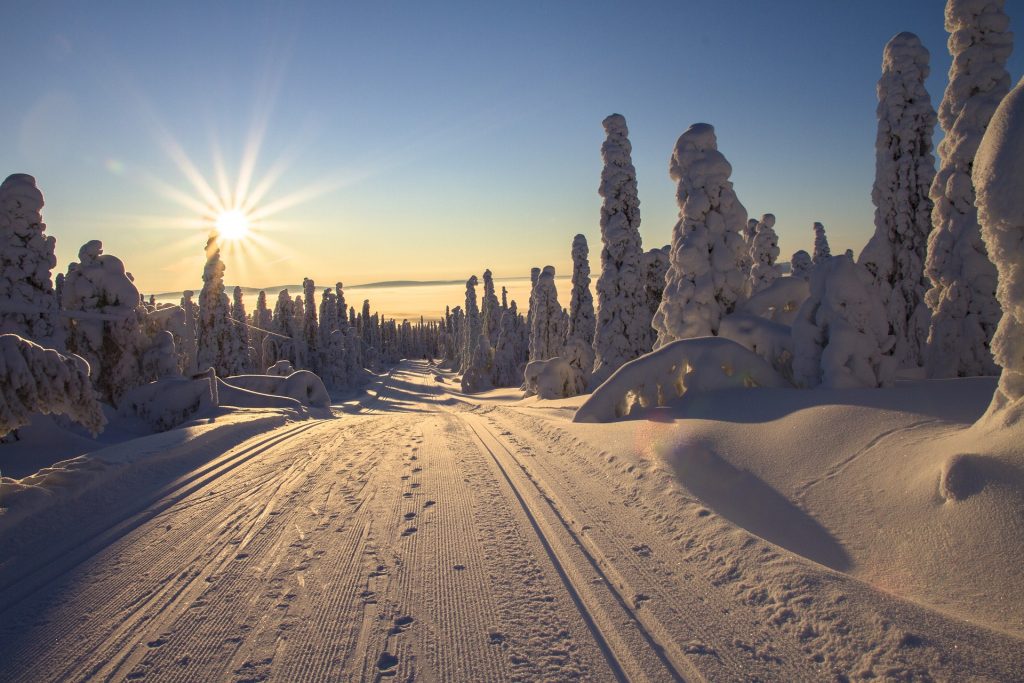 Snow in Lapland, Finland zodiac sign travel