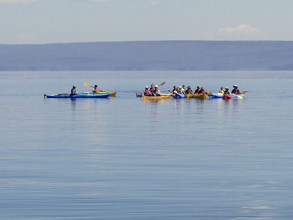 Yellowstone Geyser Kayak Tour Paddle through geyser basins Ecophiles