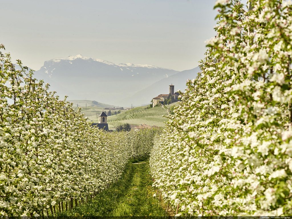 trentino val non italy