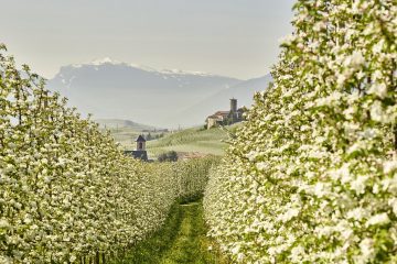 trentino val non italy