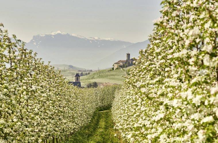 trentino val non italy